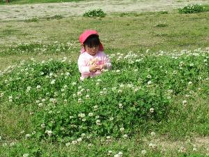 【オンラインセミナー】愛媛県伊方町・大久保育所で実感！自然が育む子どもの成長と笑顔