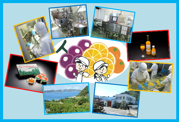 製造ラインリーダー候補(正社員）・ジュース製造及び柑橘加工補助（アルバイト）のイメージ画像