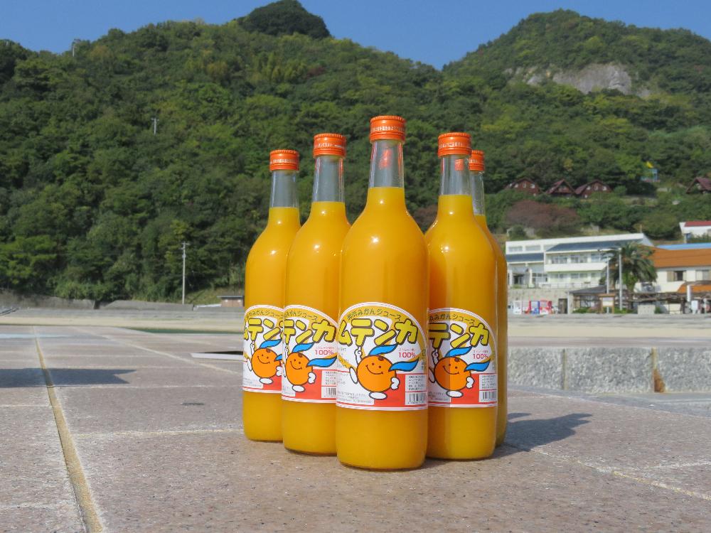 西予市明浜柑橘加工施設のイメージ画像