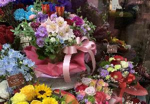 生花店店員 　(フジグラン松山内     フローラ  サラ）のイメージ画像