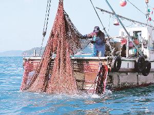 上島町　島おこし協力隊　魚島離島留学ミッションのイメージ画像