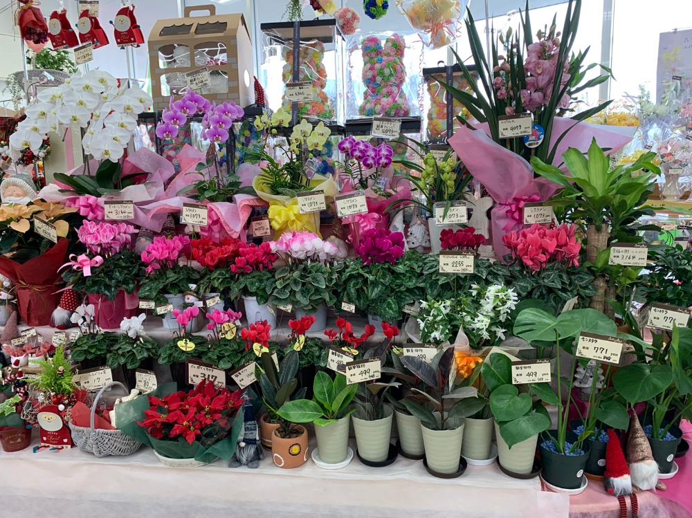 生花店店員　（フジ新居浜駅前店内   フローラジェーン）のイメージ画像