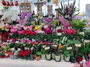 生花店店員　（フジ新居浜駅前店内   フローラジェーン）のイメージ画像
