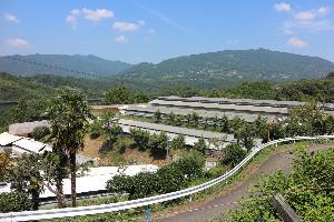 農場長（農場生産及び鶏の管理）のイメージ画像