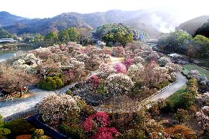 南レク公園の管理運営・事務経理・イベント企画等のイメージ画像