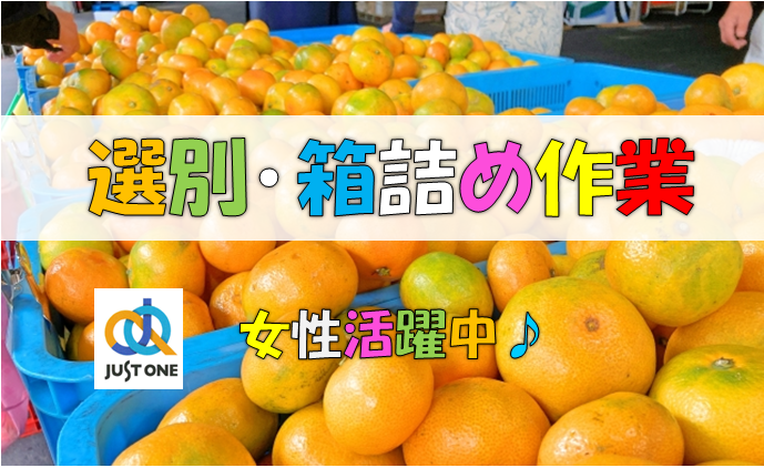 【短期】みかんの箱詰スタッフ◎髪色・ネイル自由｜中予地区*20のイメージ画像