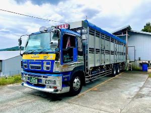 大型運転手（畜産輸送）のイメージ画像