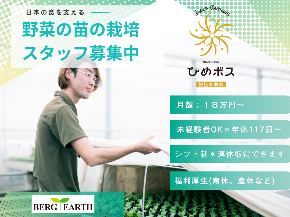 上場企業の野菜苗の栽培スタッフのイメージ画像