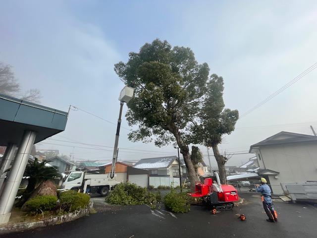 樹木の伐採工事【電気通信設備周りの保守伐採（枝切・元切）】のイメージ画像