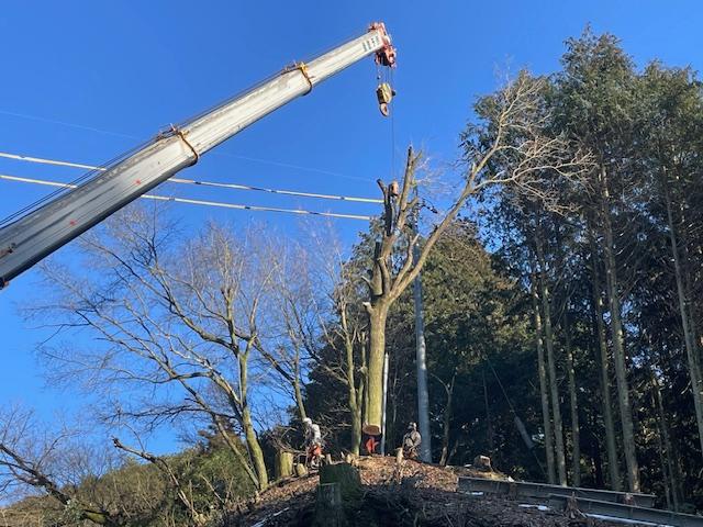 樹木の伐採工事【電気通信設備周りの保守伐採（枝切・元切）】のイメージ画像