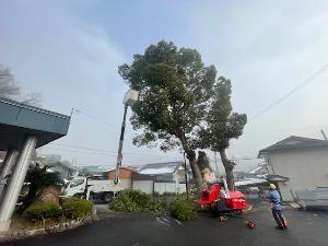 樹木の伐採工事【電気通信設備周りの保守伐採（枝切・元切）】のイメージ画像