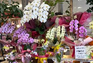 生花店店員（フジグラン松山内　フローラサラ）のイメージ画像