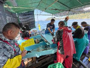 【上島町/岩城島/未経験歓迎】事務スタッフ＜自然豊かな離島での勤務・UIターン歓迎＞のイメージ画像