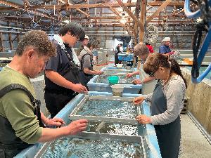 【上島町/岩城島/未経験歓迎】事務スタッフ＜自然豊かな離島での勤務・UIターン歓迎＞のイメージ画像