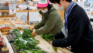 派遣職員のイメージ画像