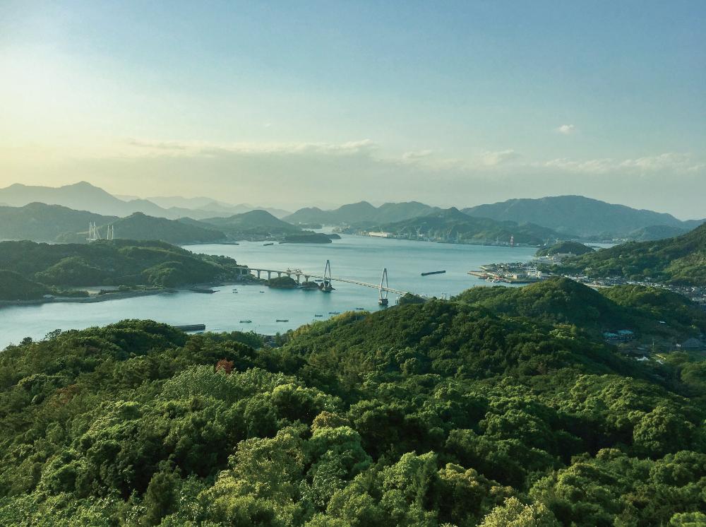 【上島町/岩城島/未経験歓迎】陸上養殖員＜自然豊かな離島での勤務・UIターン歓迎＞のイメージ画像