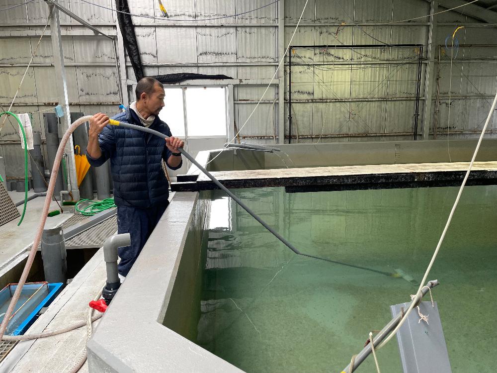 【上島町/岩城島/未経験歓迎】陸上養殖員＜自然豊かな離島での勤務・UIターン歓迎＞のイメージ画像