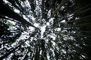 現場作業員のイメージ画像