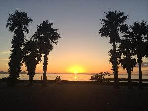 管理栄養士（高齢者施設）のイメージ画像