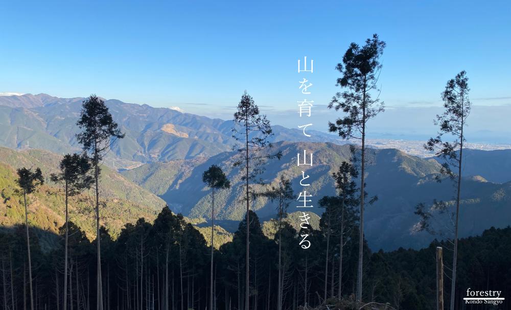 【皆伐事業】林業重機オペレーター　◇交通費支給ありのイメージ画像