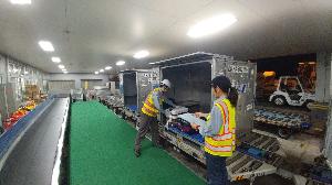 ✈グランドハンドリングスタッフ（松山空港）✈　　㈱和光ビルサービスのイメージ画像