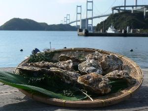道の駅 スタッフ （大島）のイメージ画像