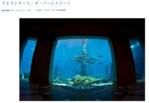 製造スタッフのイメージ画像