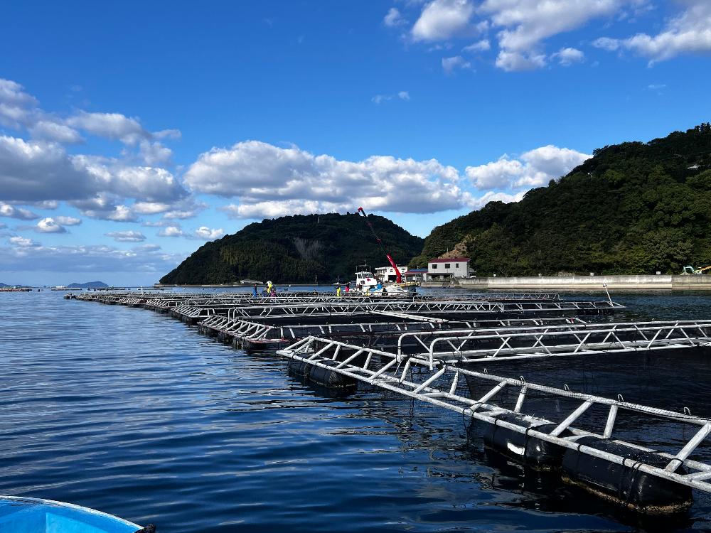 【宇和島市/吉田町/未経験歓迎】事務スタッフ＜自然豊かな海辺での勤務・UIターン歓迎＞のイメージ画像
