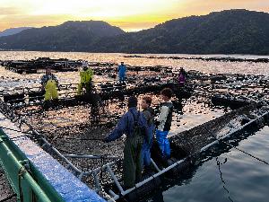 【宇和島市/吉田町/未経験歓迎】事務スタッフ＜自然豊かな海辺での勤務・UIターン歓迎＞のイメージ画像