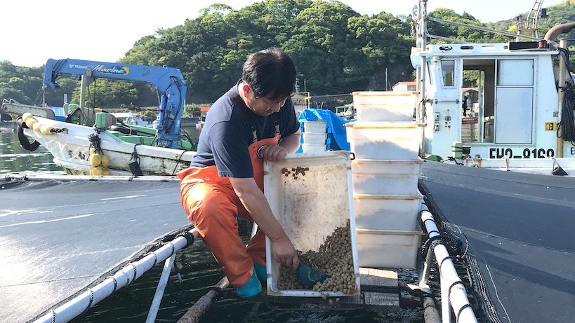 地域の生産者様と一緒に実施する、西島百合子さん企画の養殖体験ツアー。