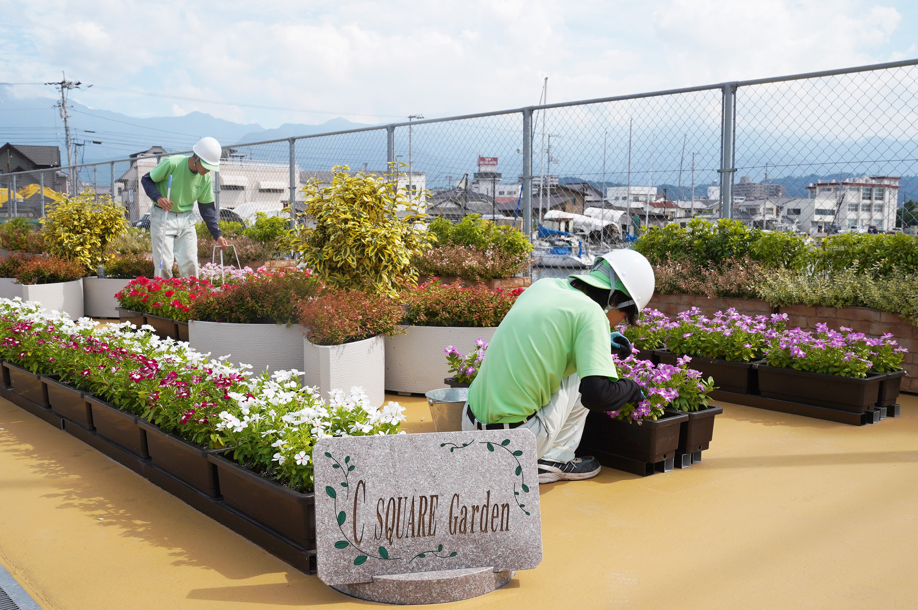 大江工場前の入口花壇で、スタッフが丁寧に花の手入れを行う様子。